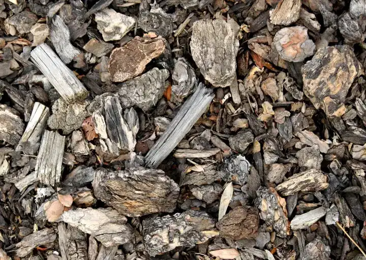 Close-up texture of bark mulch ready for screening