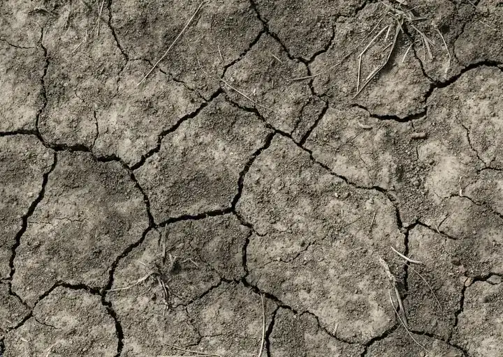 Close-up texture of dirt ready for screening