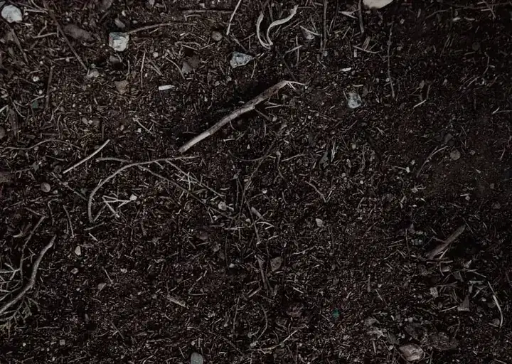 Close-up texture of topsoil ready for screening