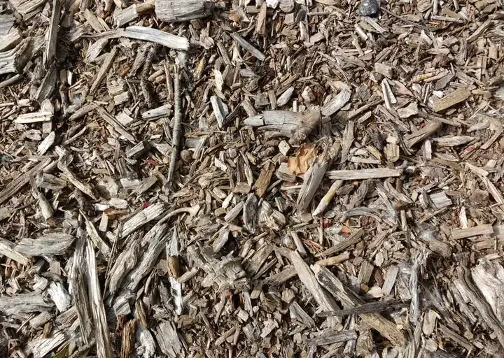 Close-up texture of wood grindings ready for screening
